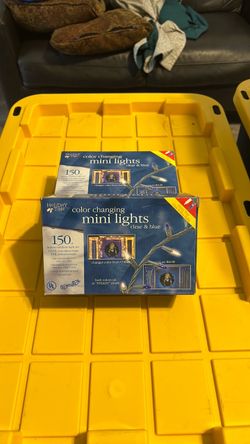 Holiday Time Color Changing Mini Lights – 2 Boxes