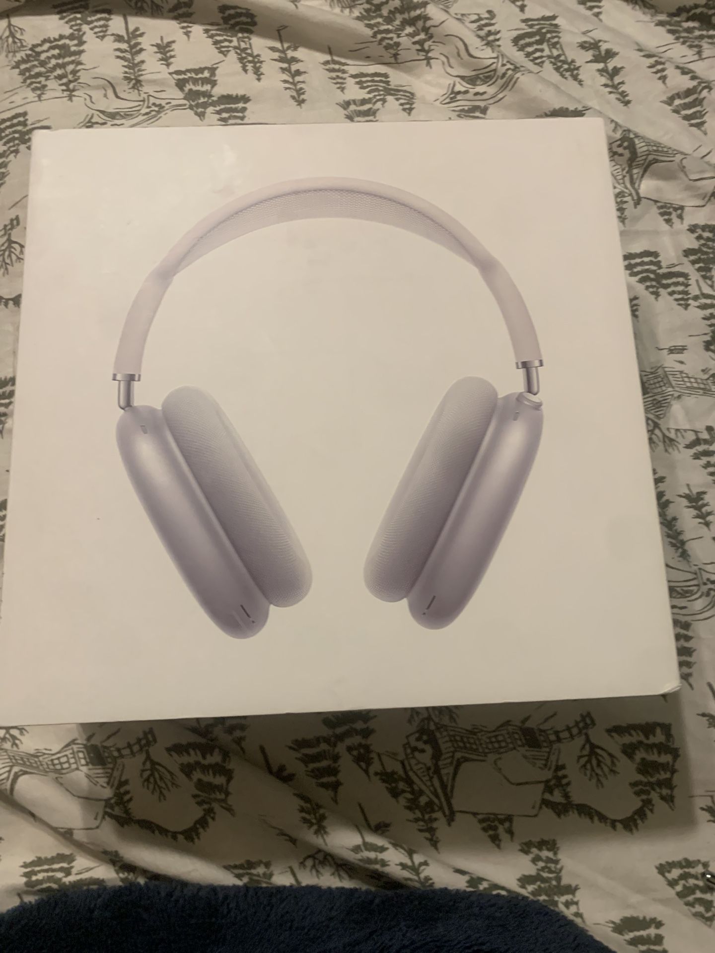 AirPod Max Grey With White Stripe