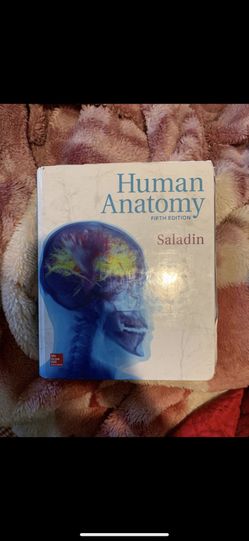 Human anatomy