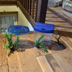 2 Betta Fish Tanks- With Free Decorations!