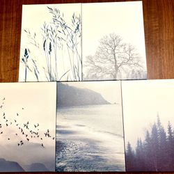 Set Of 5 Canvas Nature Prints