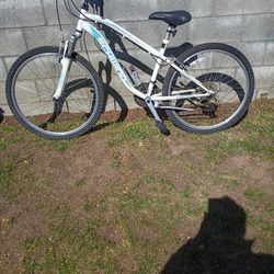 Adult Bike /Bicicleta Para Adultos