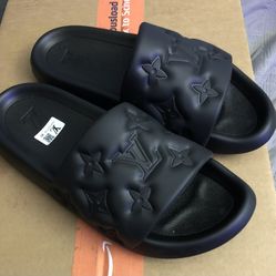 LV Slides