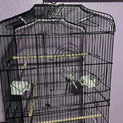 Bird  Cage 