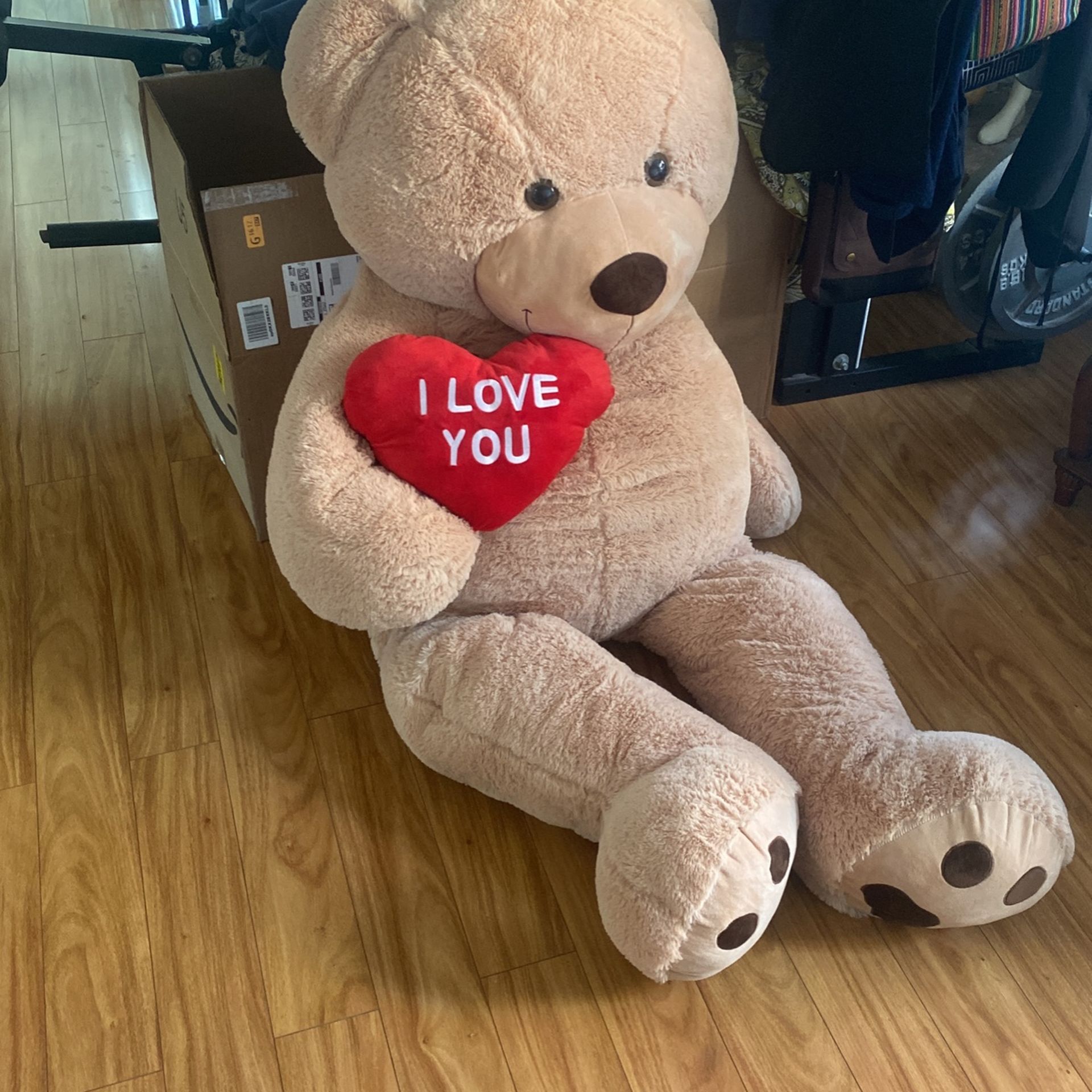 Big Big Teddy Bear