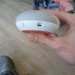 Google Nest