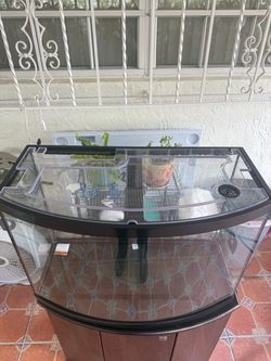 36 gallon bowfront tank
