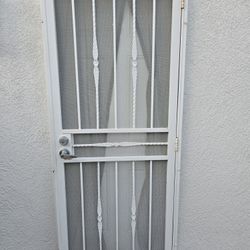 32×80 Steel Security Door