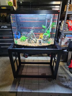 36 Gallon Bow Front Fish Tank