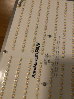 LED Grow Light 