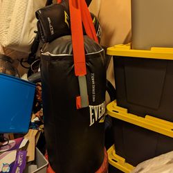 Everlast Punching Bag For Sale