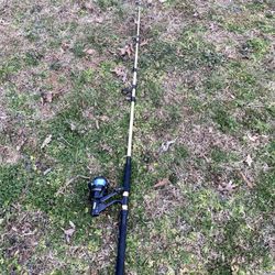 Nice Ocean Fishing Pole