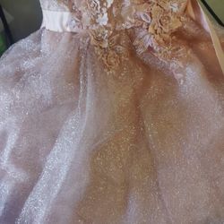 Girls Dress Size 6t & 10 