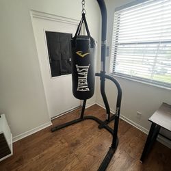 Everlast Punching Bag