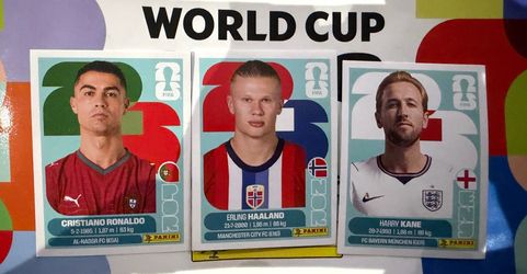 Panini World Cup Stickers