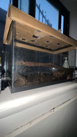 Leopard gecko with 10 gallon with heat pad and hides and branches