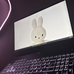 ASUS TUF F15 Gaming Laptop (i7 / RTX 4070)