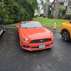 2015 Ford Mustang