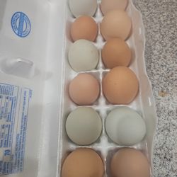 Fresh Eggs