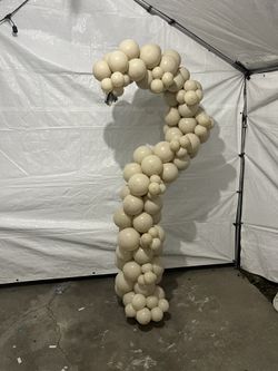 Gender Reveal Question Mark