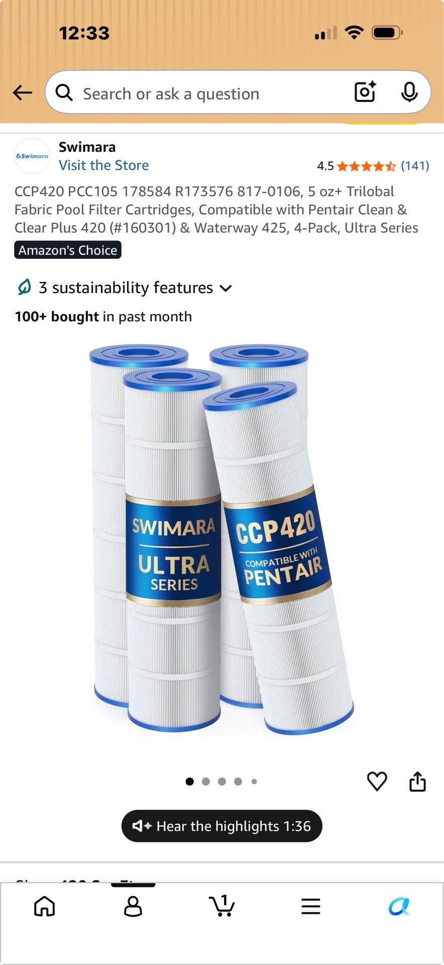 Pool filters