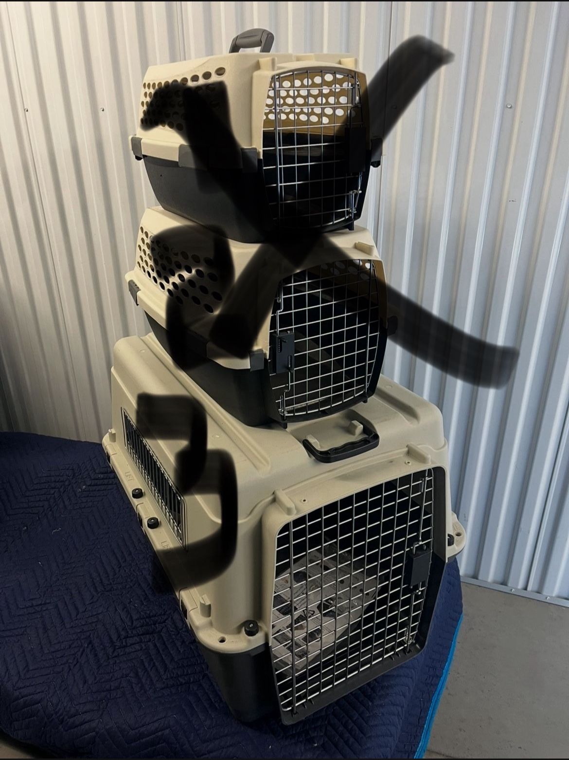 Pet Carrier, Medium ( 30-50lbs) 32x23x24. IATA  Approved. See all pictures for details.