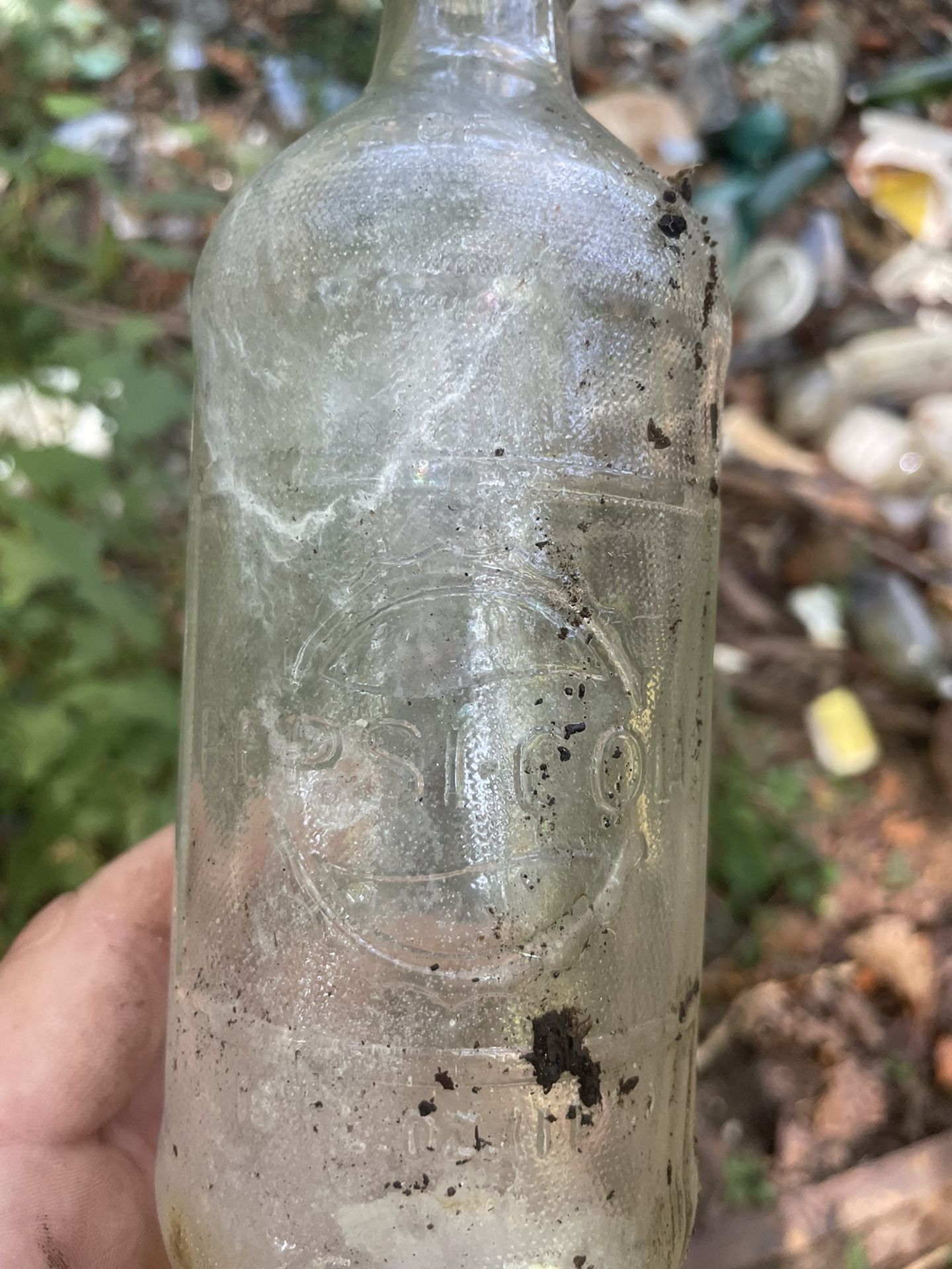 Old Glass Bottles