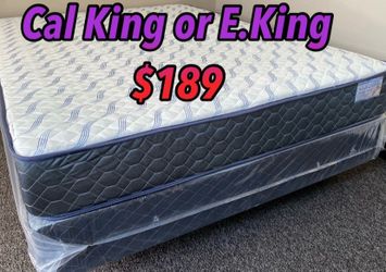 King supreme ortho Matres!