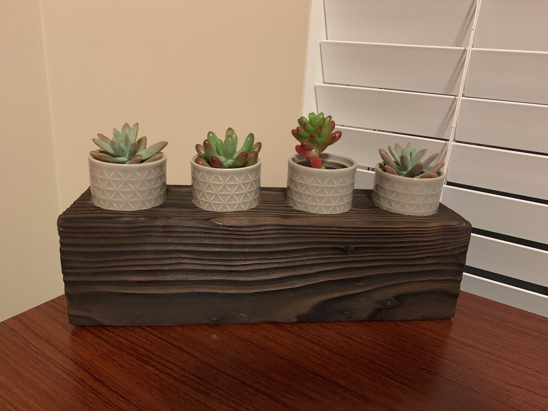 Succulent Planter