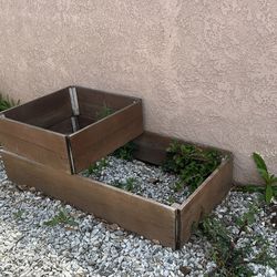 Raised Garden Box's