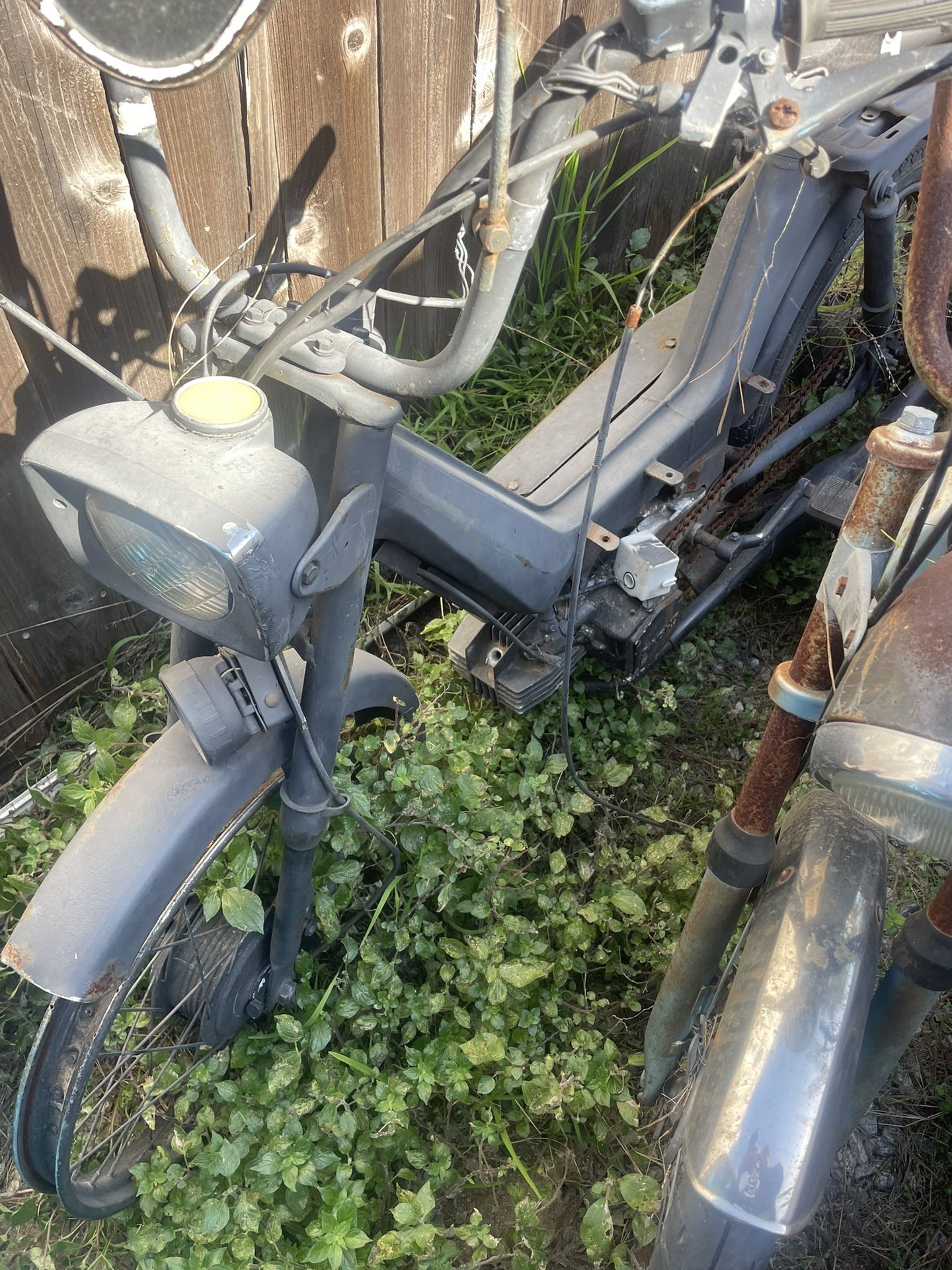 Qmw1960S Moped 53 - lwyo65x