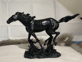 Wild Mustang Horse
