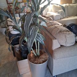 Fake Plant 