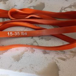 Gym Equipment 