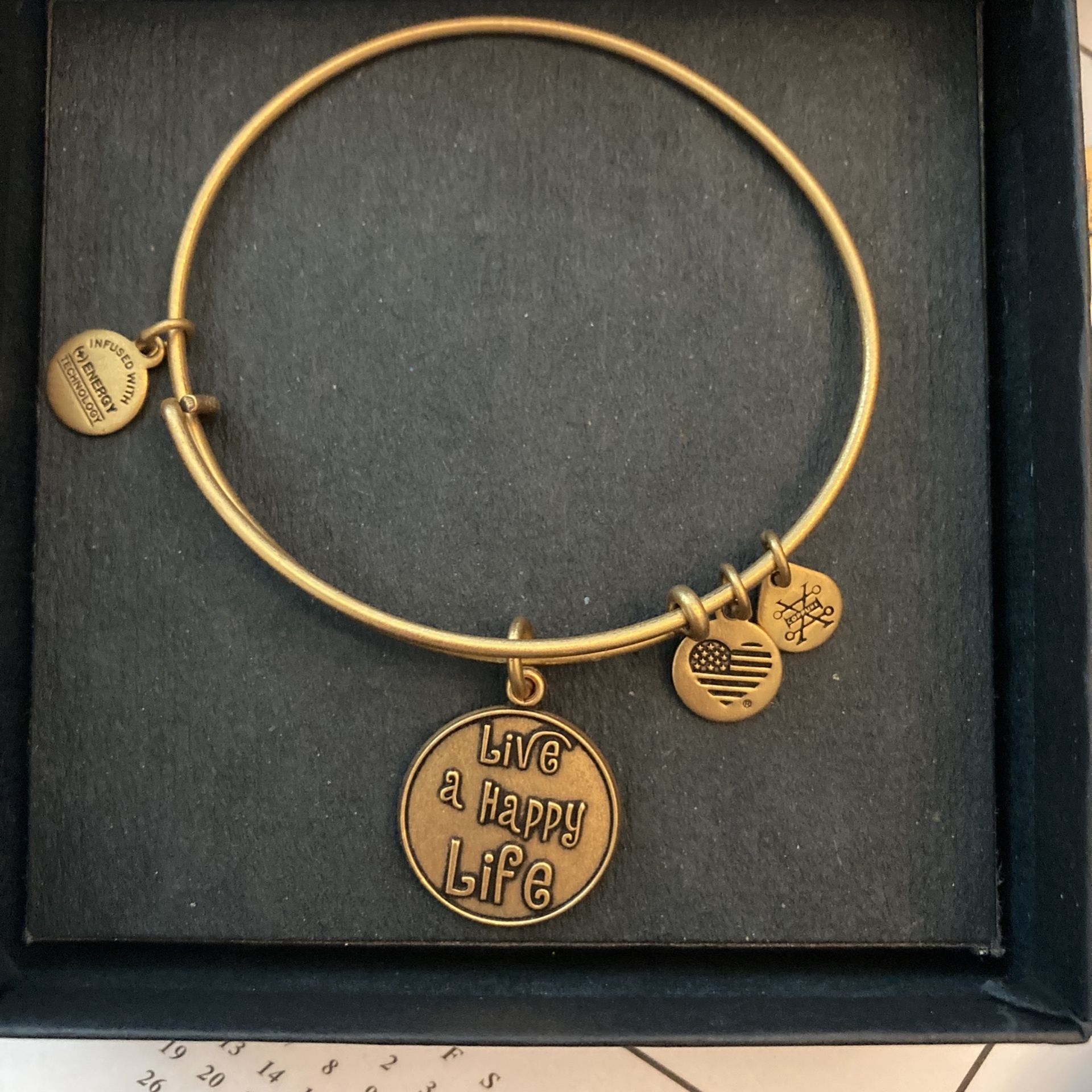 Alex And Ani Bracelet 