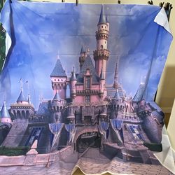 Large Party Photo Backdrops – Disney Castle & Forest – Photography Ready