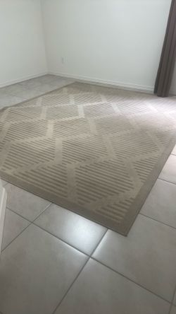 Area rug 8 x 10