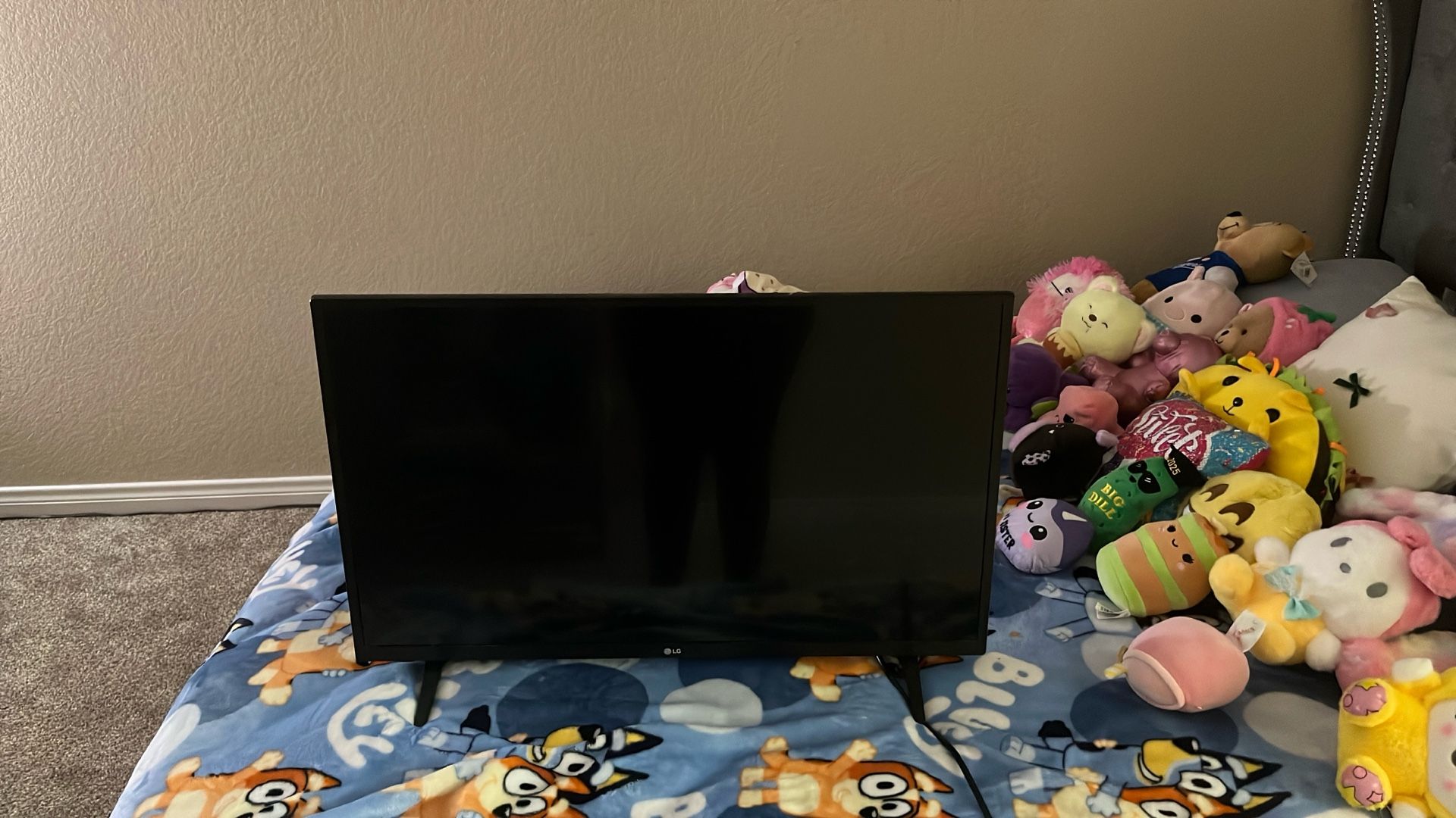 27 in LG Roku Tv