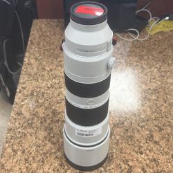Sony FE 200-600mm Super Telephoto Zoom Lens