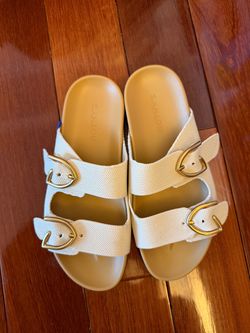 Rothy Buckle slides