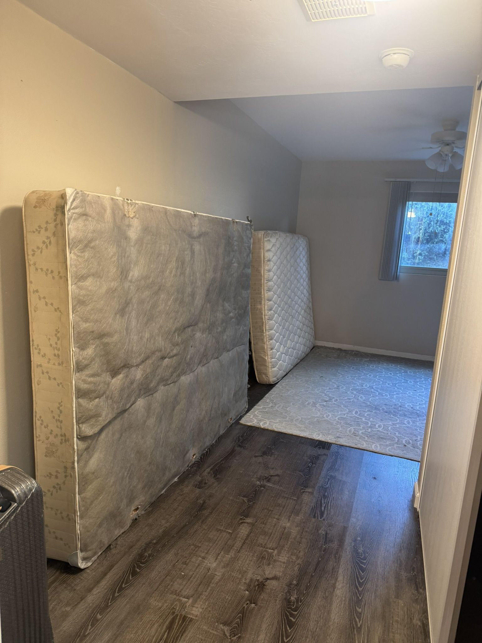 Free Queen Mattress And Box Spring
