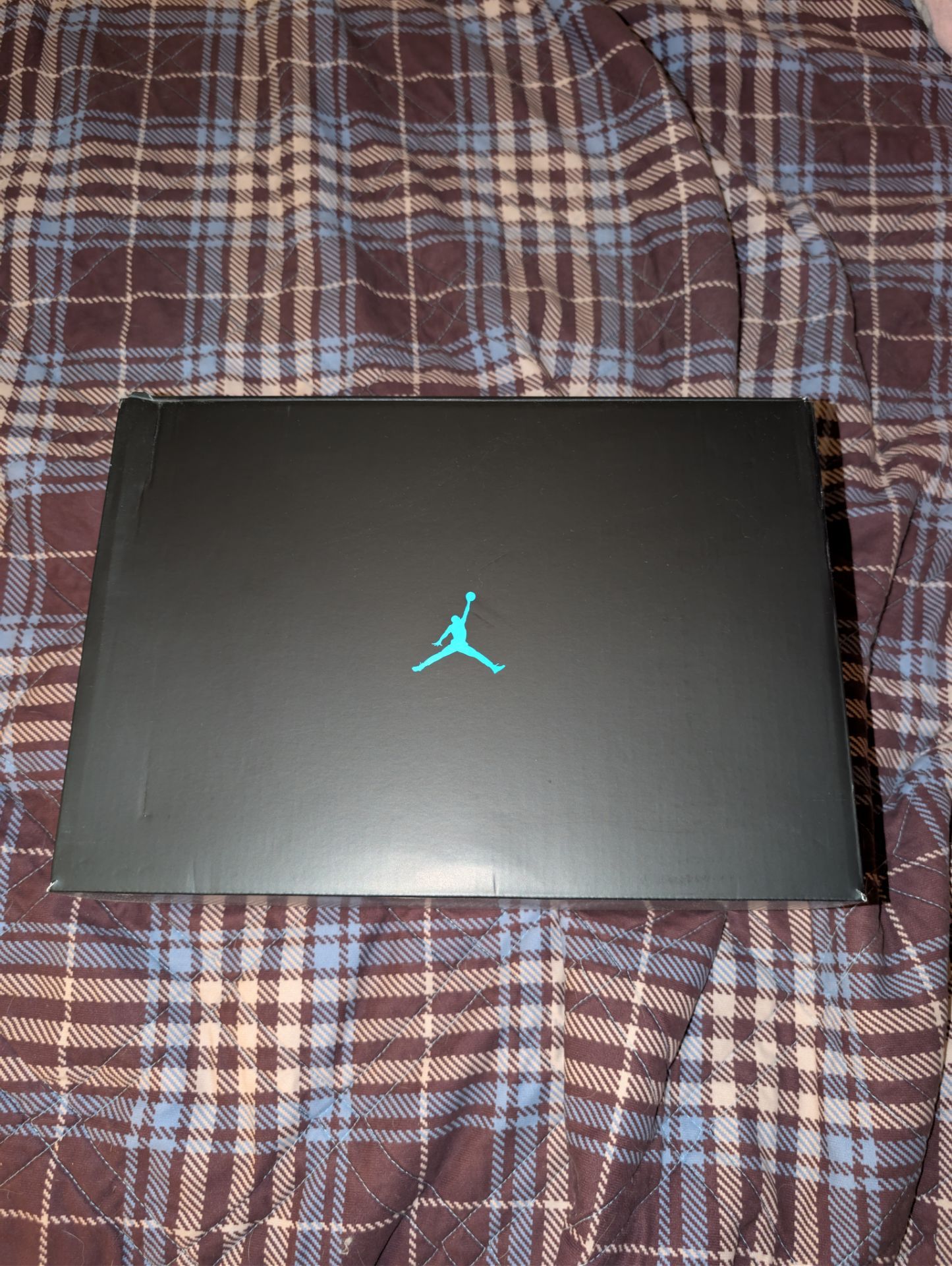 Jordan 11s