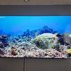 75 Inch LED LCD TV Toshiba 75C350LU Fire TV 