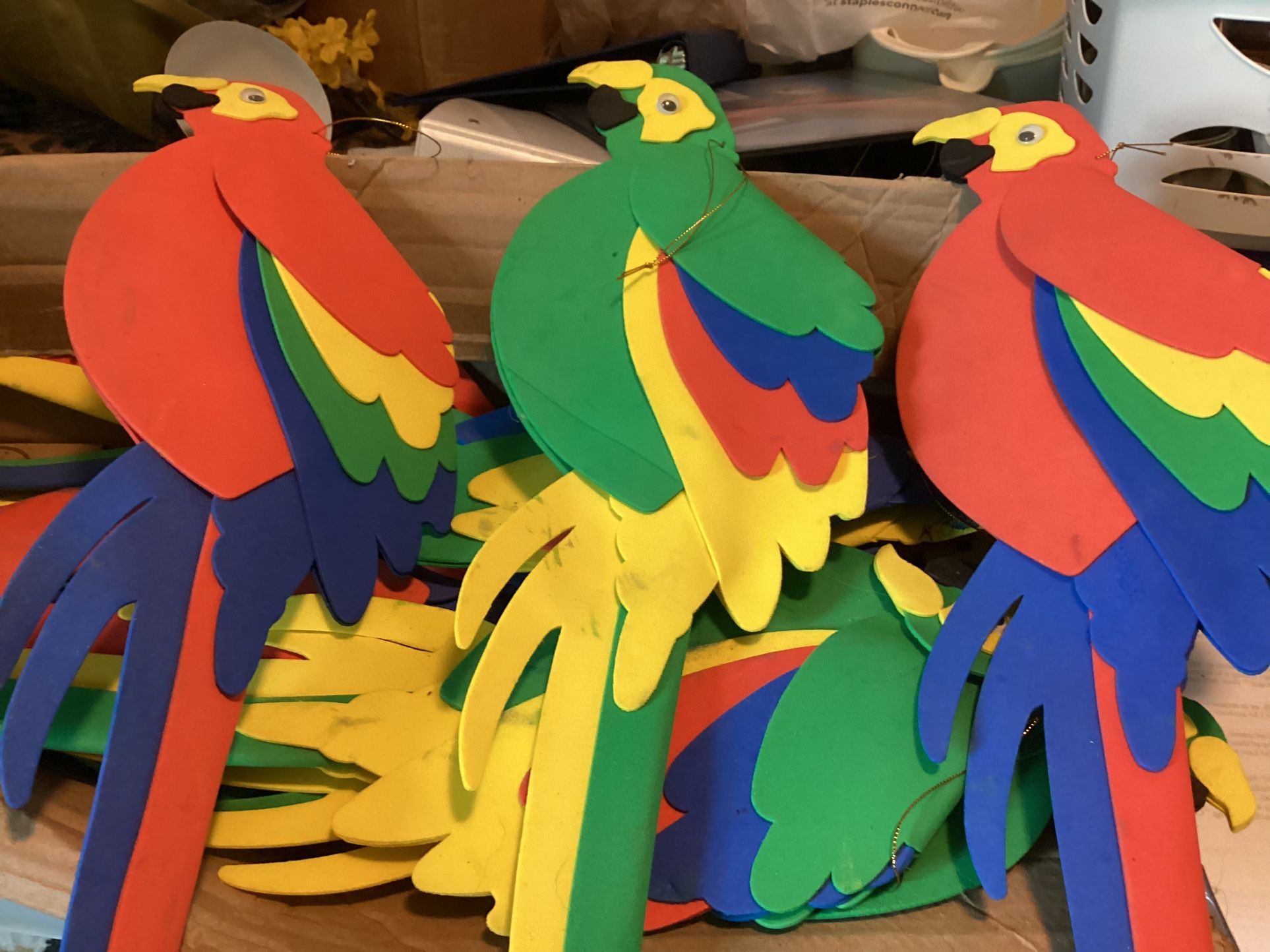 Parrots