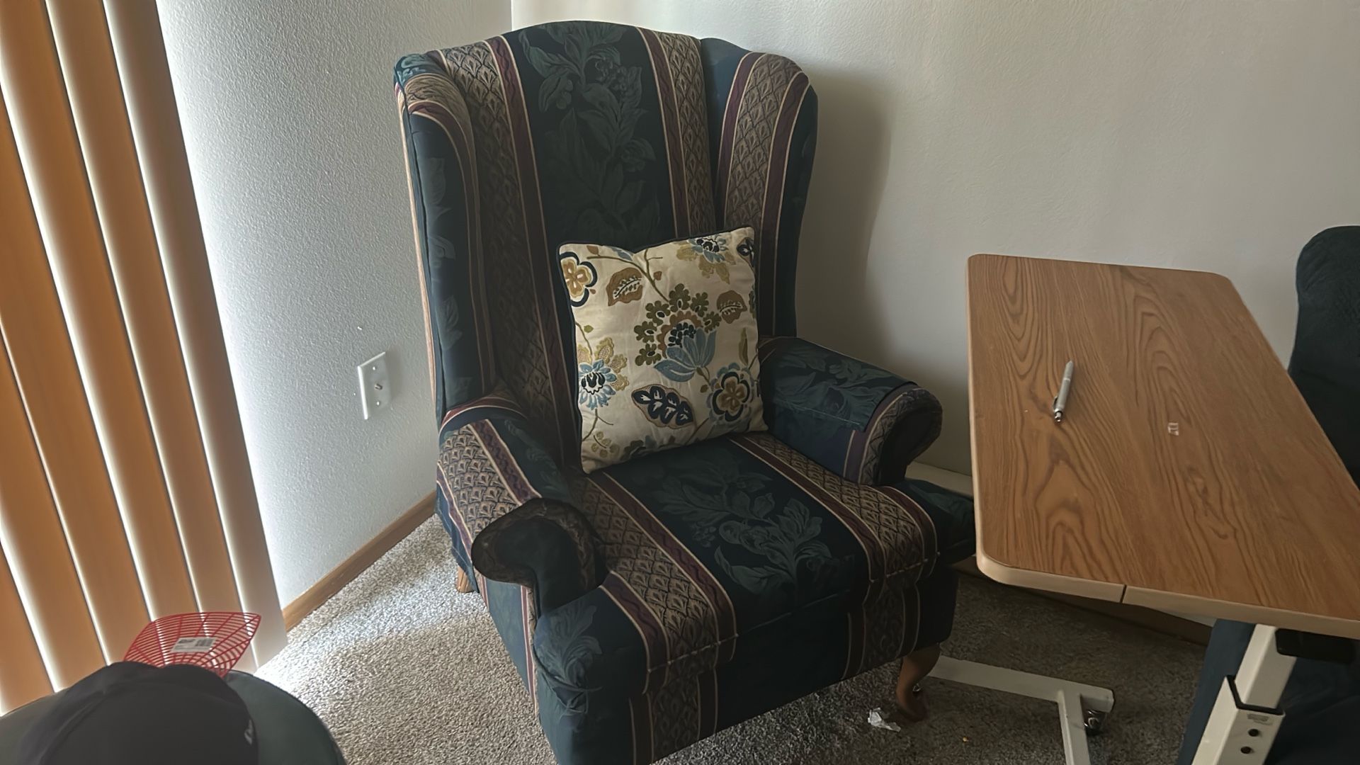 Nice Chair ( Green) With 1 Pillow