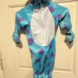 Zully from monsters costume