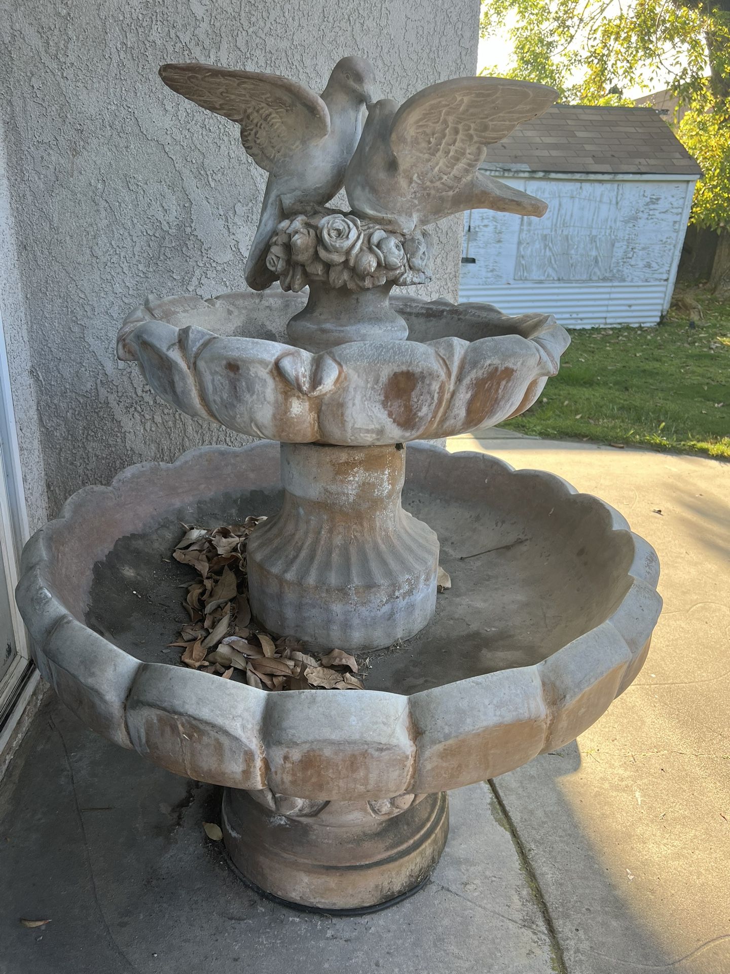 Fountain 