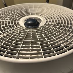 Large fan