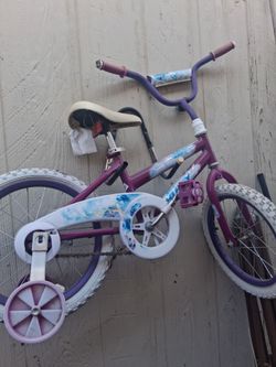 Bicicleta pequeña
