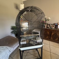 Bird Cage 